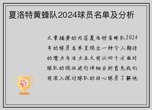 夏洛特黄蜂队2024球员名单及分析