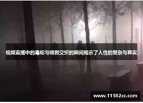 视频直播中的毒蛇与喧嚣交织的瞬间揭示了人性的复杂与真实