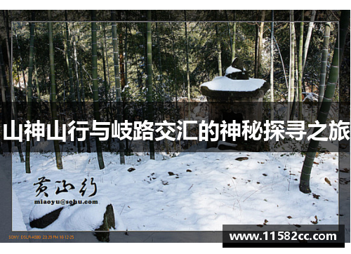 山神山行与岐路交汇的神秘探寻之旅
